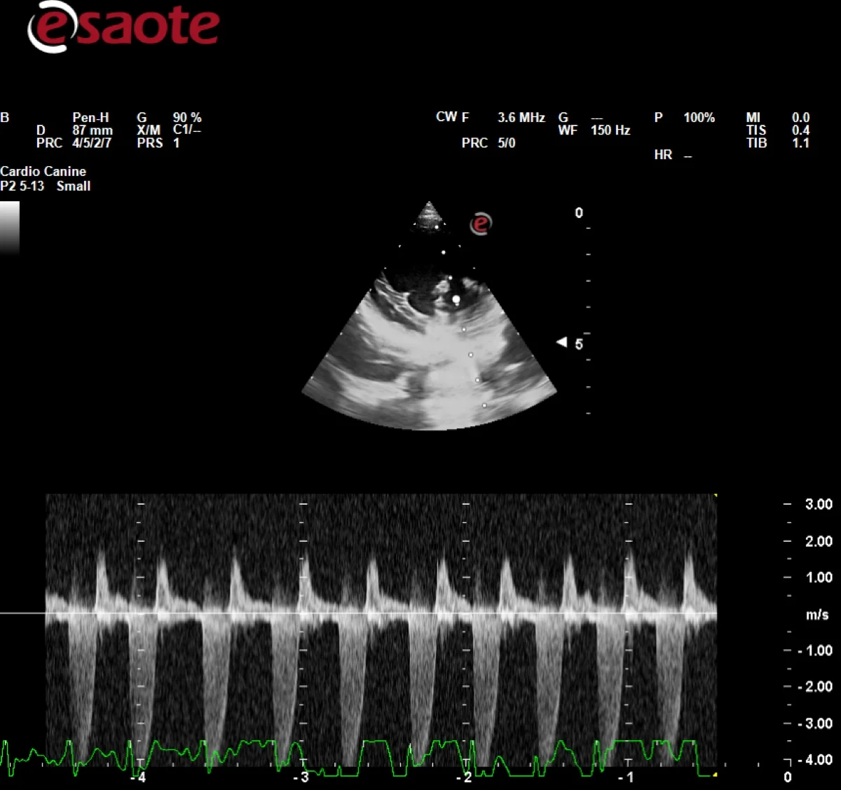 Examen Doppler continuu, ecografie cardiacă veterinară Denvet Prax