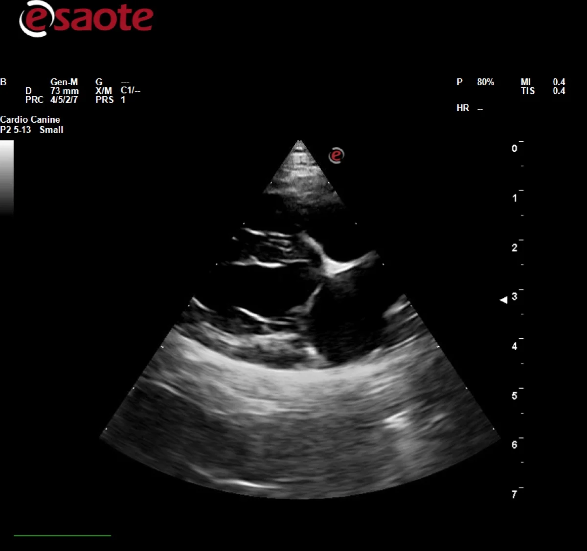 Vedere anatomică în mod B, ecografie cardiacă veterinară Denvet Prax
