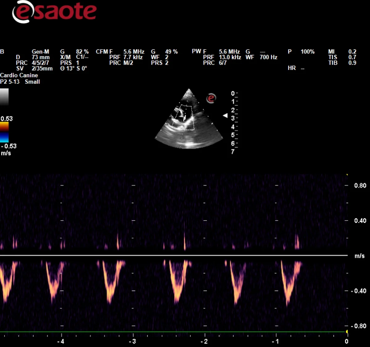 Pulse Wave Doppler, ecografie cardiacă veterinară Denvet Prax